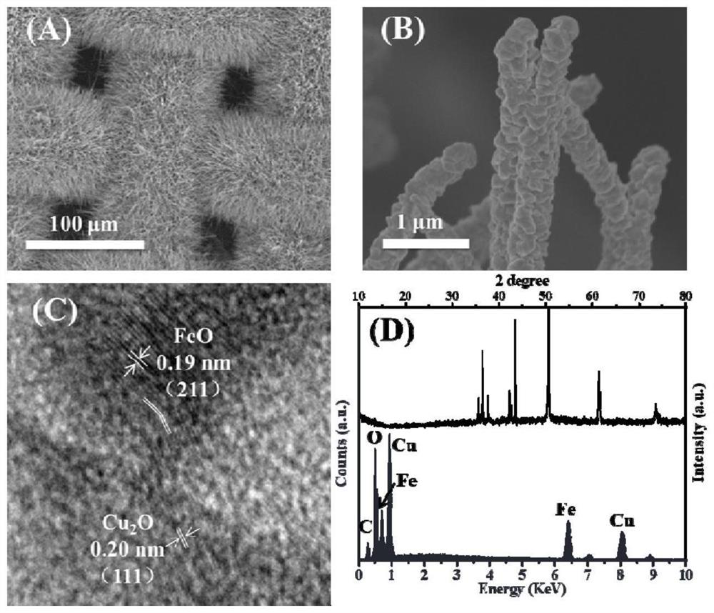 Preparation method of copper mesh integrated Cu2O@FeO nano array