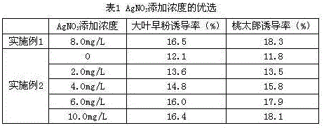 Formula of inducing medium for tomato anther culture breeding