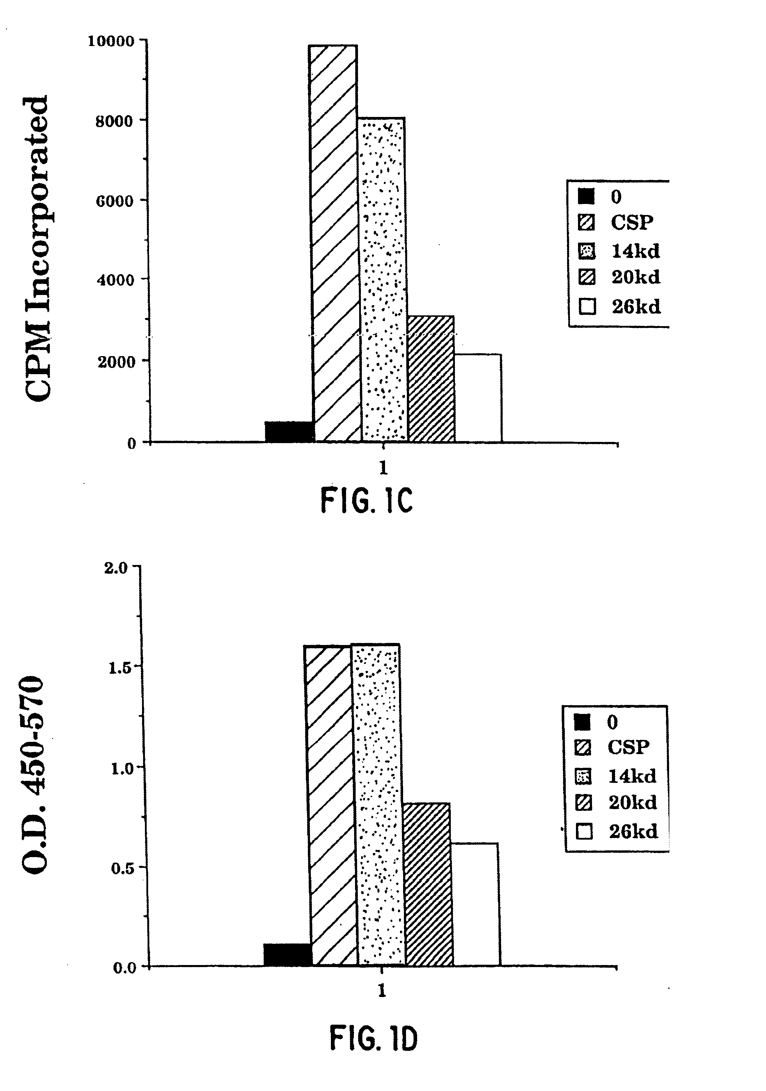 Compounds and methods for immunotherapy and diagnosis of tuberculosis