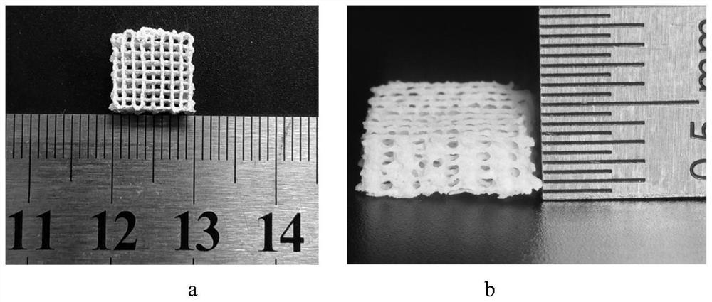 3D printed bone defect repair scaffold loaded with endothelial extracellular matrix and preparation method of 3D printed bone defect repair scaffold