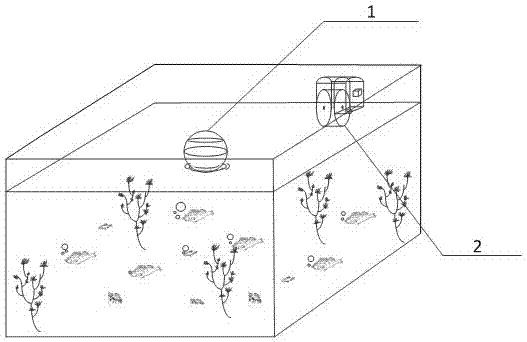 Fish tank automatic feeding device and method