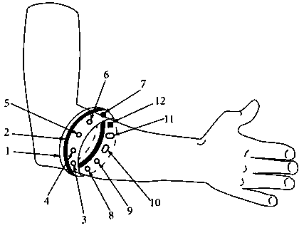 A Gesture Recognition System Based on Forearm Bioelectric Multi-sensor