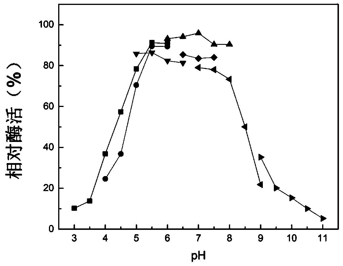 Microbulbifer arenaceous beta-galactosidase as well as encoding gene and application thereof