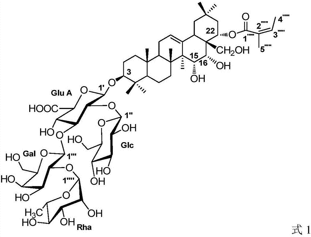 Application of triterpenoid saponins sourced from schima superba