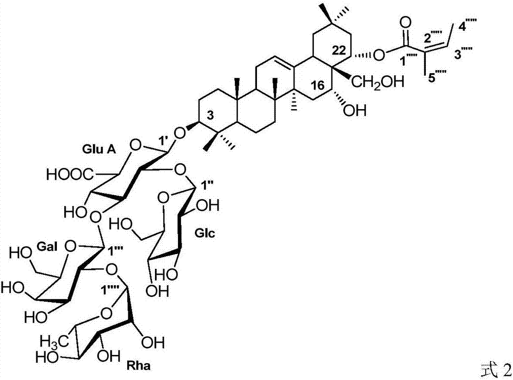 Application of triterpenoid saponins sourced from schima superba