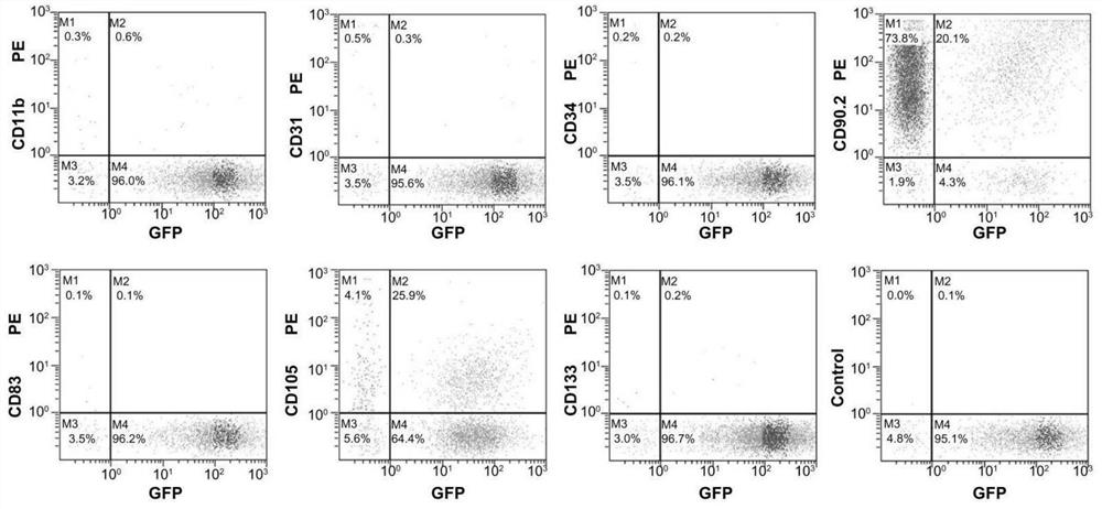 A method for preparing adipose stem cell exosomes, adipose stem cell exosomes and applications thereof