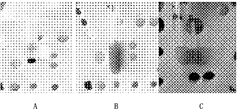 Emulsion based on stabilizing agent, preparation method and application thereof