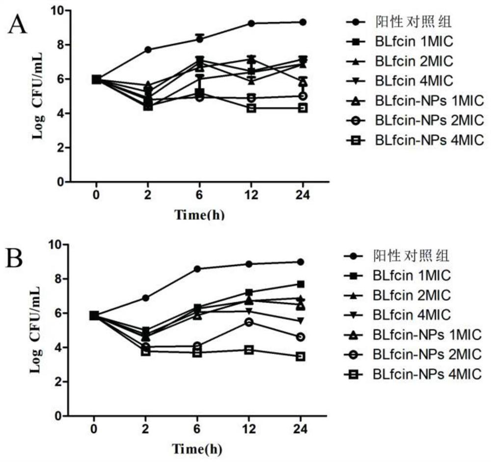 A kind of bovine lactoferrin peptide chitosan nanoparticle and its preparation method and a kind of freeze-dried powder