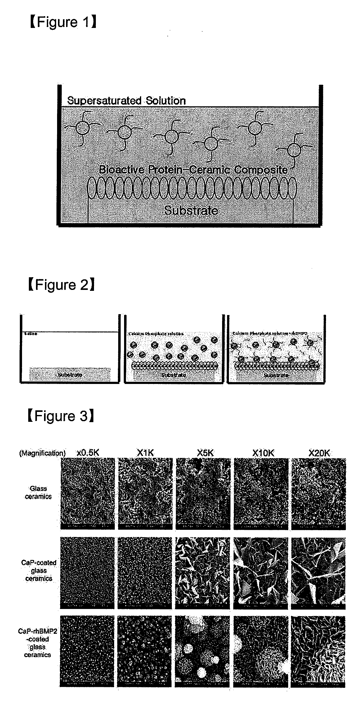 Material and manufacturing method of bioactive protein-calcium phosphate composite