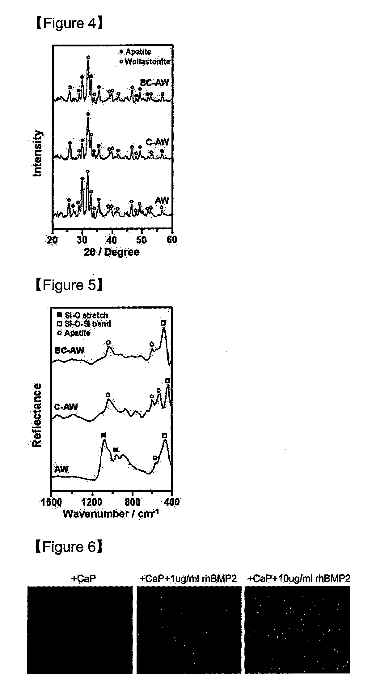 Material and manufacturing method of bioactive protein-calcium phosphate composite