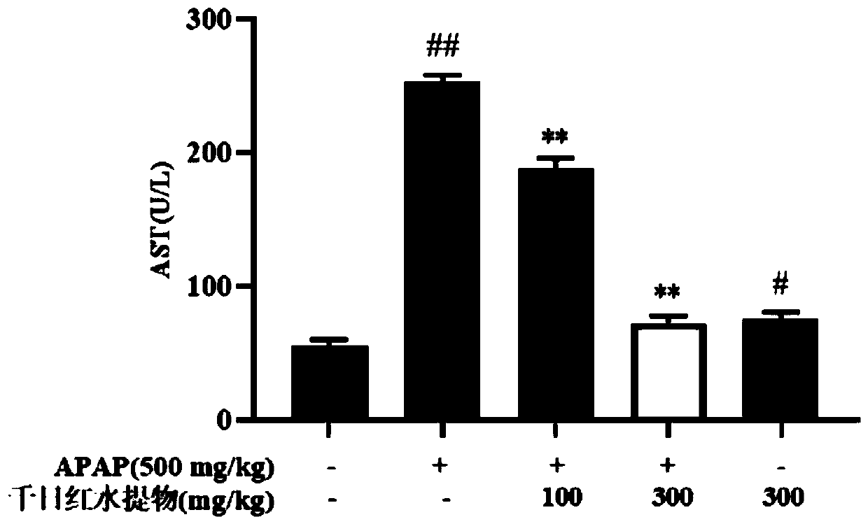 Application of water extract of gomphrena globose to preparation of drugs used for treating acute liver injury of mice