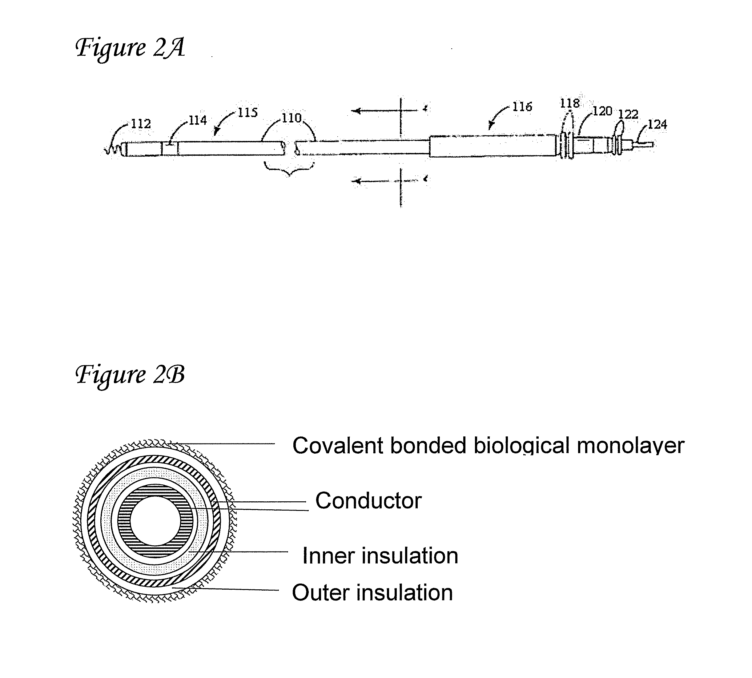 Medical electrical lead having biological surface and methods of making and using same