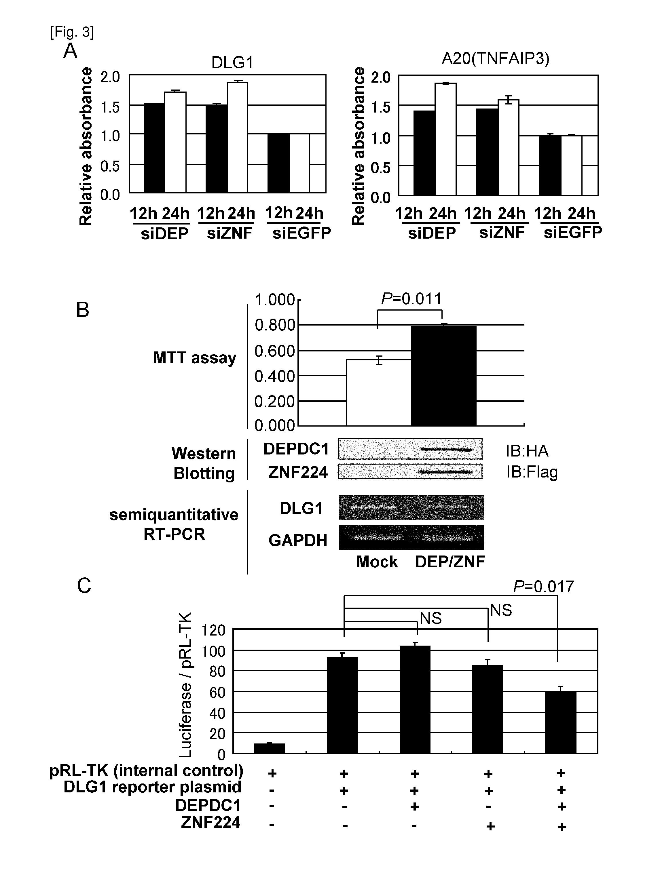 Method for treating or preventing bladder cancer using the depdc1 polypeptide