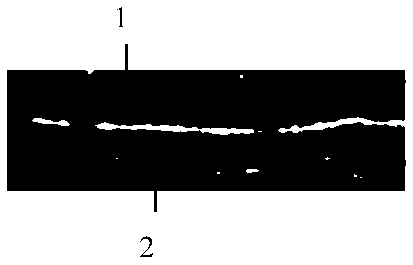 A kind of bionic nerve graft for peripheral nerve repair and its preparation method