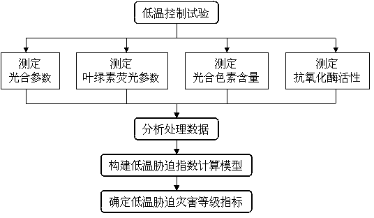 Facility crop low-temperature stress diagnostic method