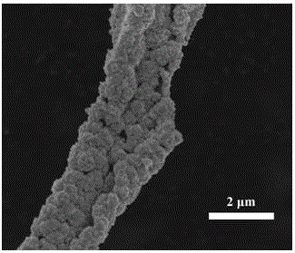 Method for preparing SnO2 micro-nanofiber