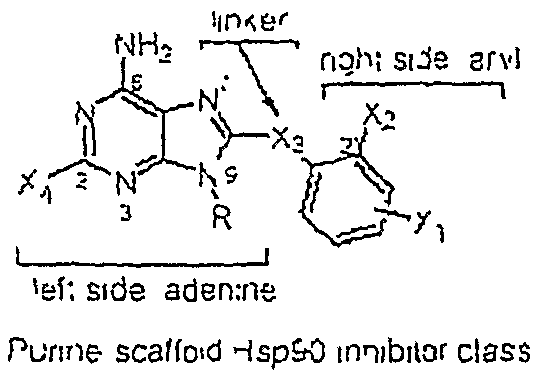 Small-molecule Hsp90 inhibitors