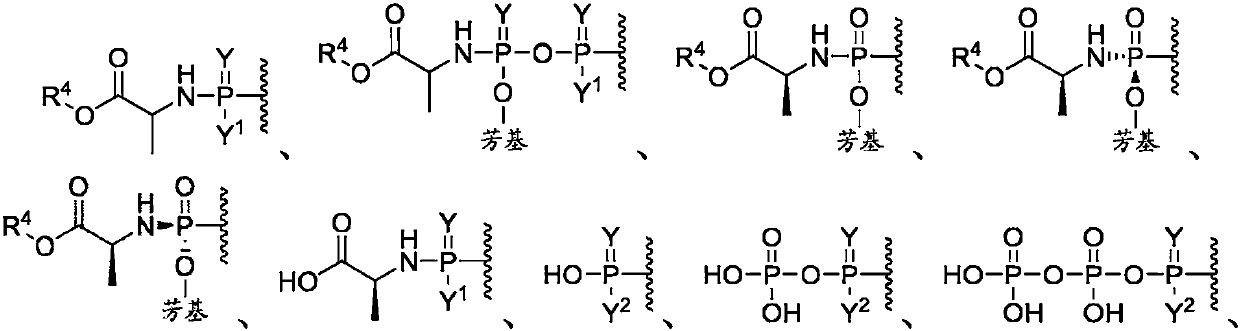 Alkyne containing nucleotide and nucleoside therapeutic compositions and uses related thereto