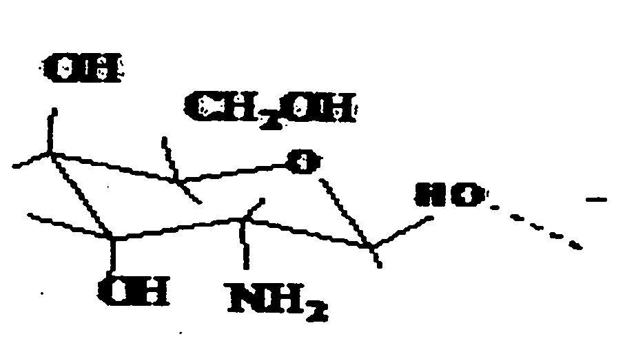 Transparent xyloglucan/chitosan gel and preparation method thereof