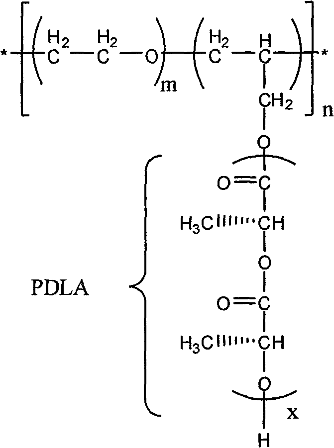 Modified polyactic acid and preparation method thereof
