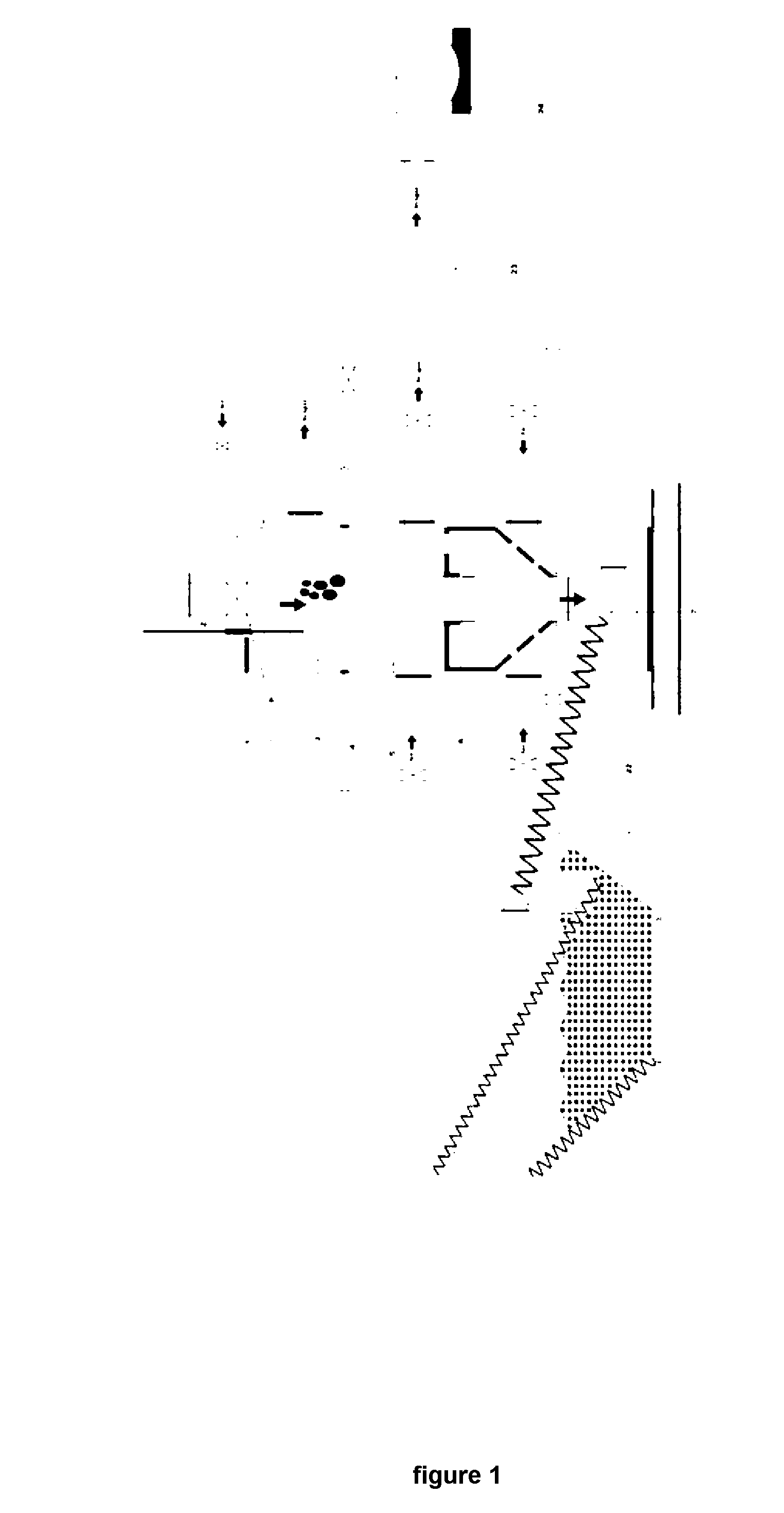 Gasifier and gasification methods using thereof