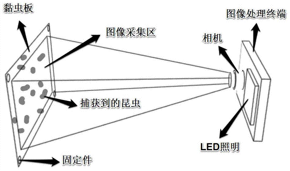 Broad spectrum insect situation automatic forecasting method based on computer vision technology