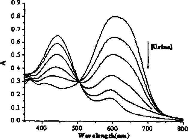 Method for detecting phosphate radical in urine