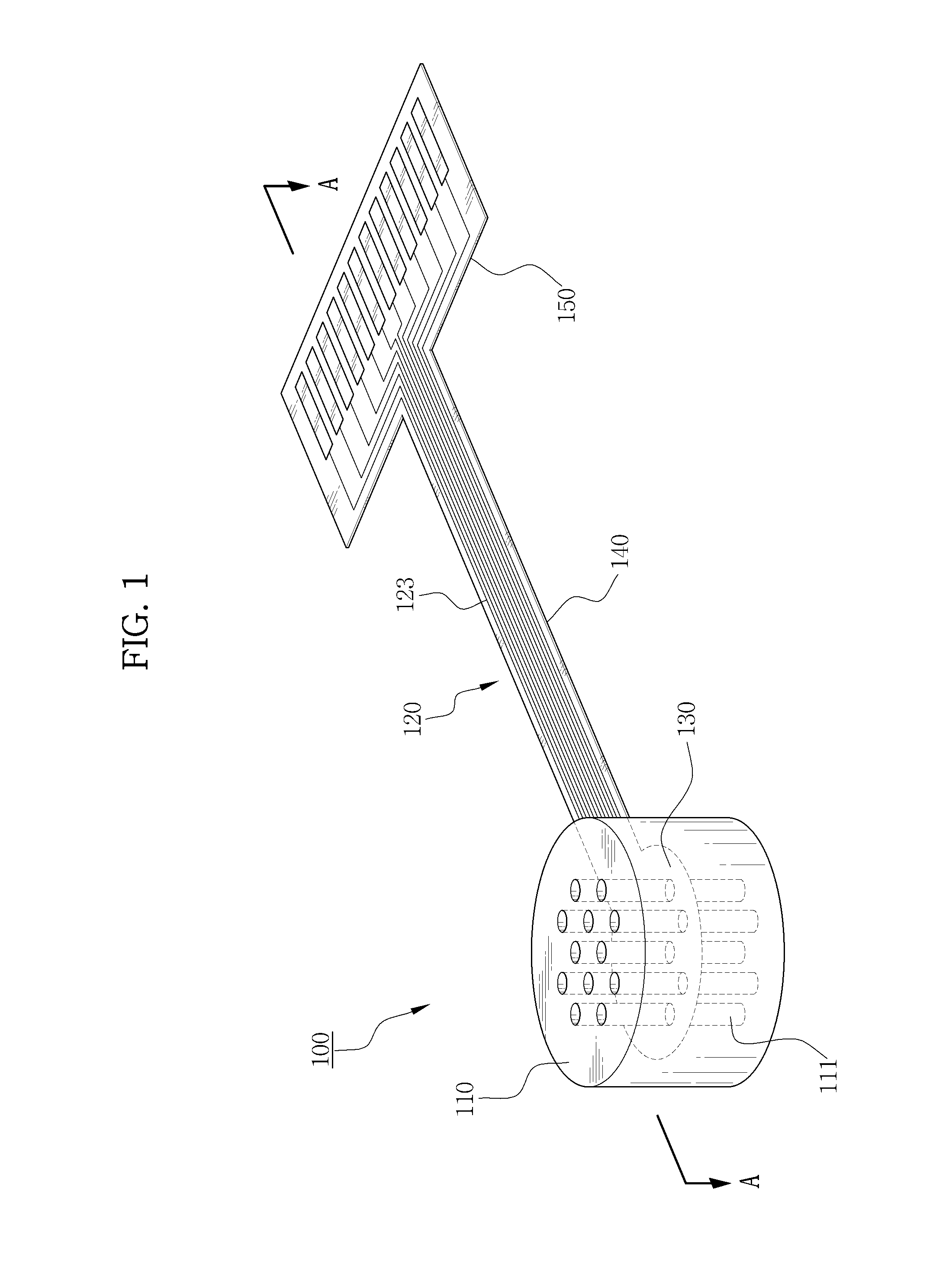 Neural tube for recovering function of injured nerve