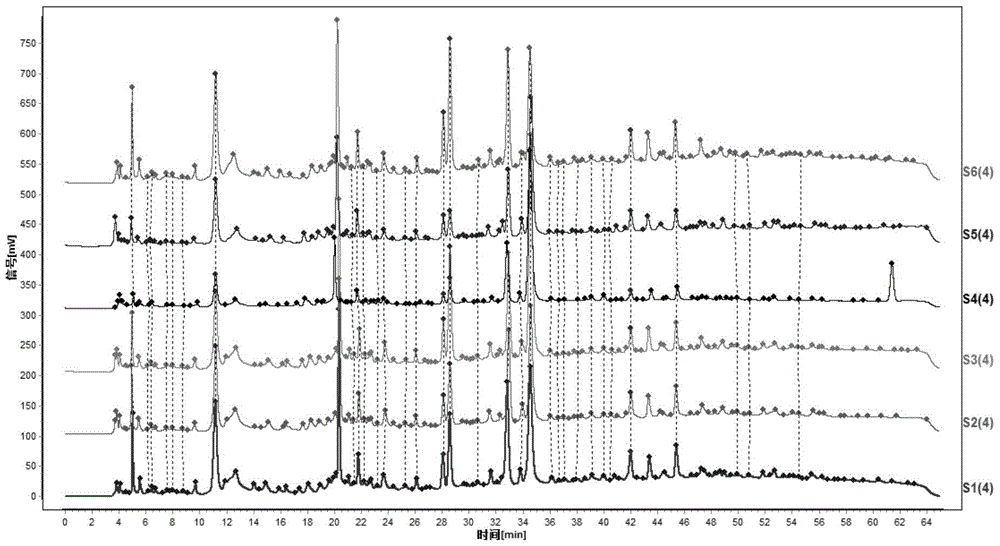 Construction Method and Application of Liquid Chromatographic Fingerprint of Shanxi Mature Vinegar