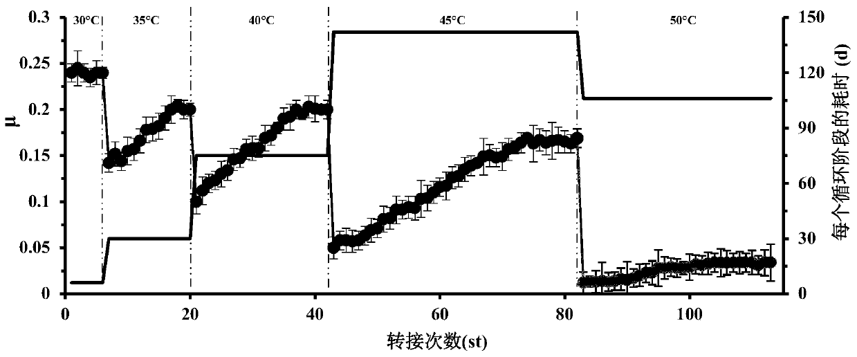 Method for producing L-leucine by efficiently utilizing starch