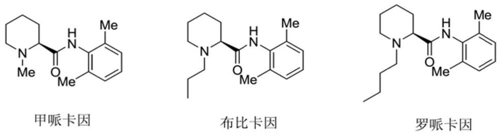 A kind of preparation method of caine drug intermediate (s)-2-piperidinecarboxylic acid