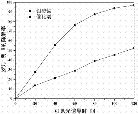 Catalyst for degrading rhodamine B by photocatalysis, and preparation method thereof