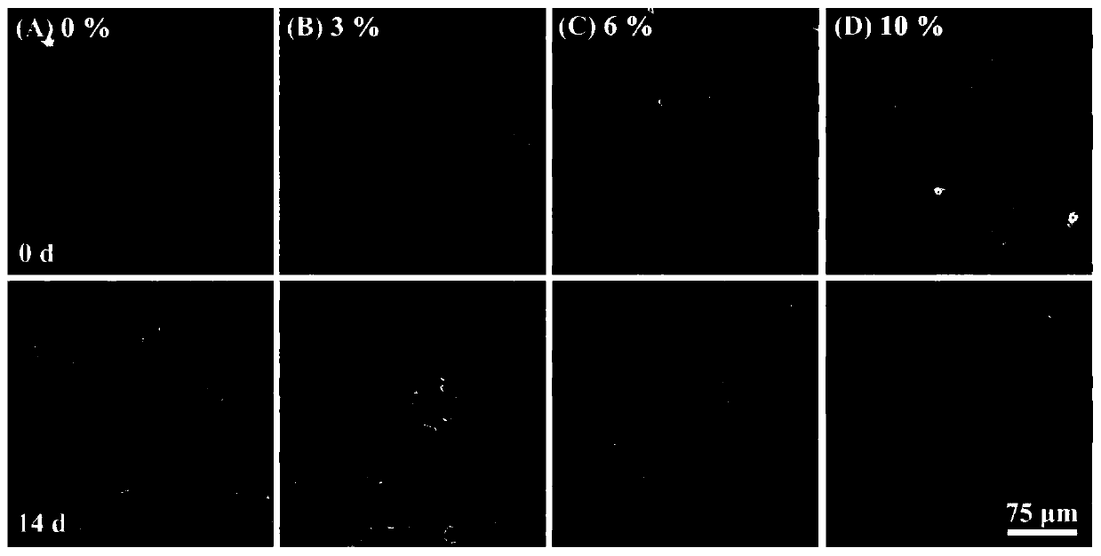 Method for improving cohesiveness of high-protein nutrition bar by adding phospholipid vesicles