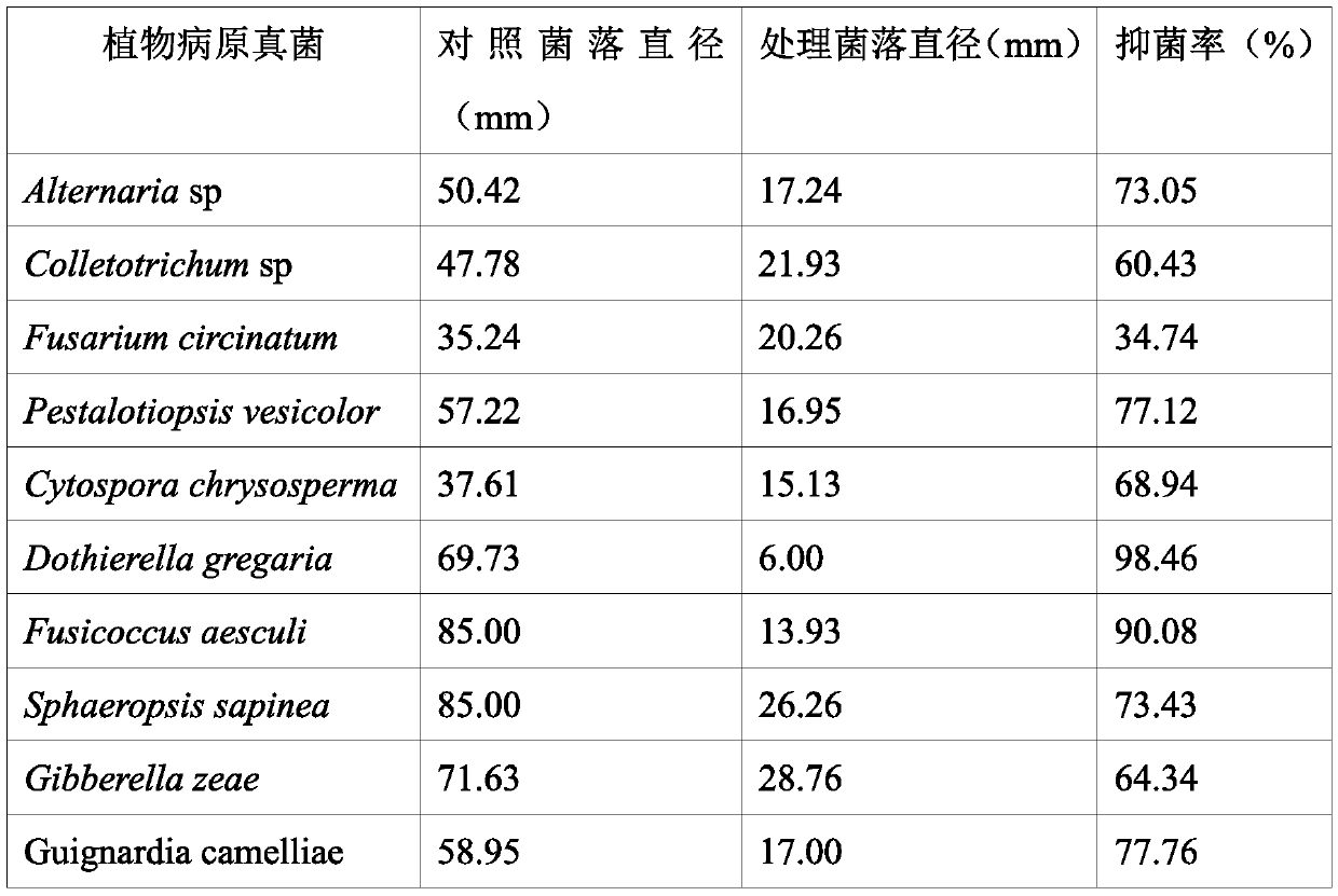 A strain of Bacillus amyloliquefaciens yh-20 with broad-spectrum disease resistance and growth-promoting effect and its application