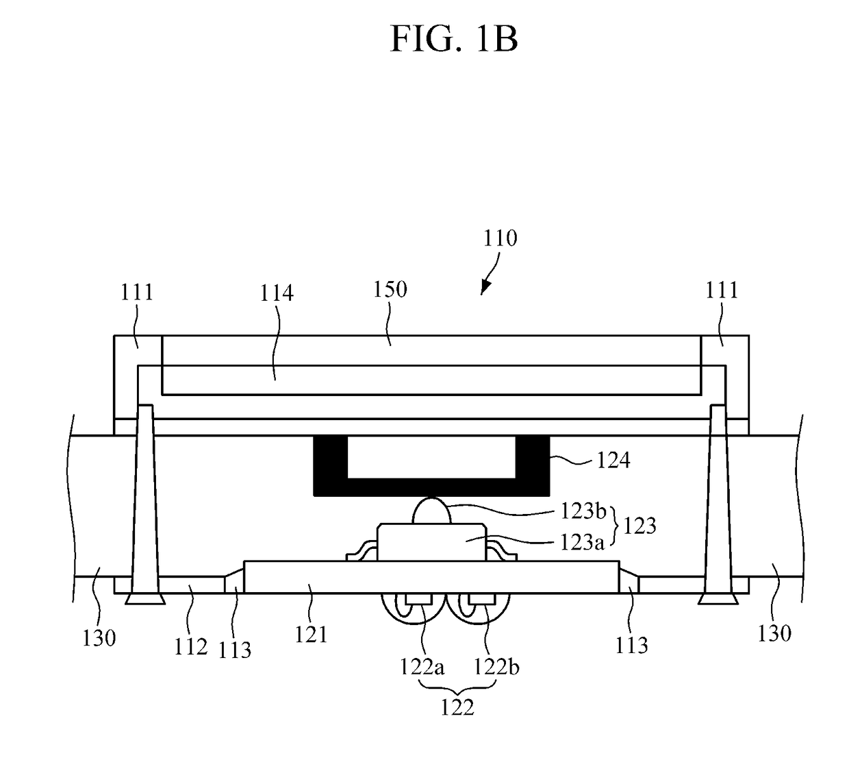 Apparatus and method for measuring biometric information