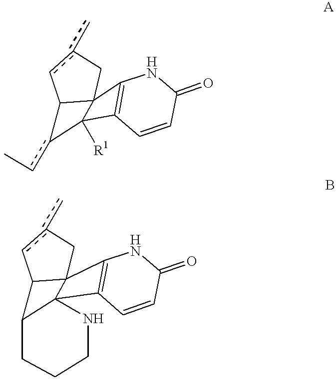 Combination of huperzine and nicotinic compounds as a neuroprotective agent