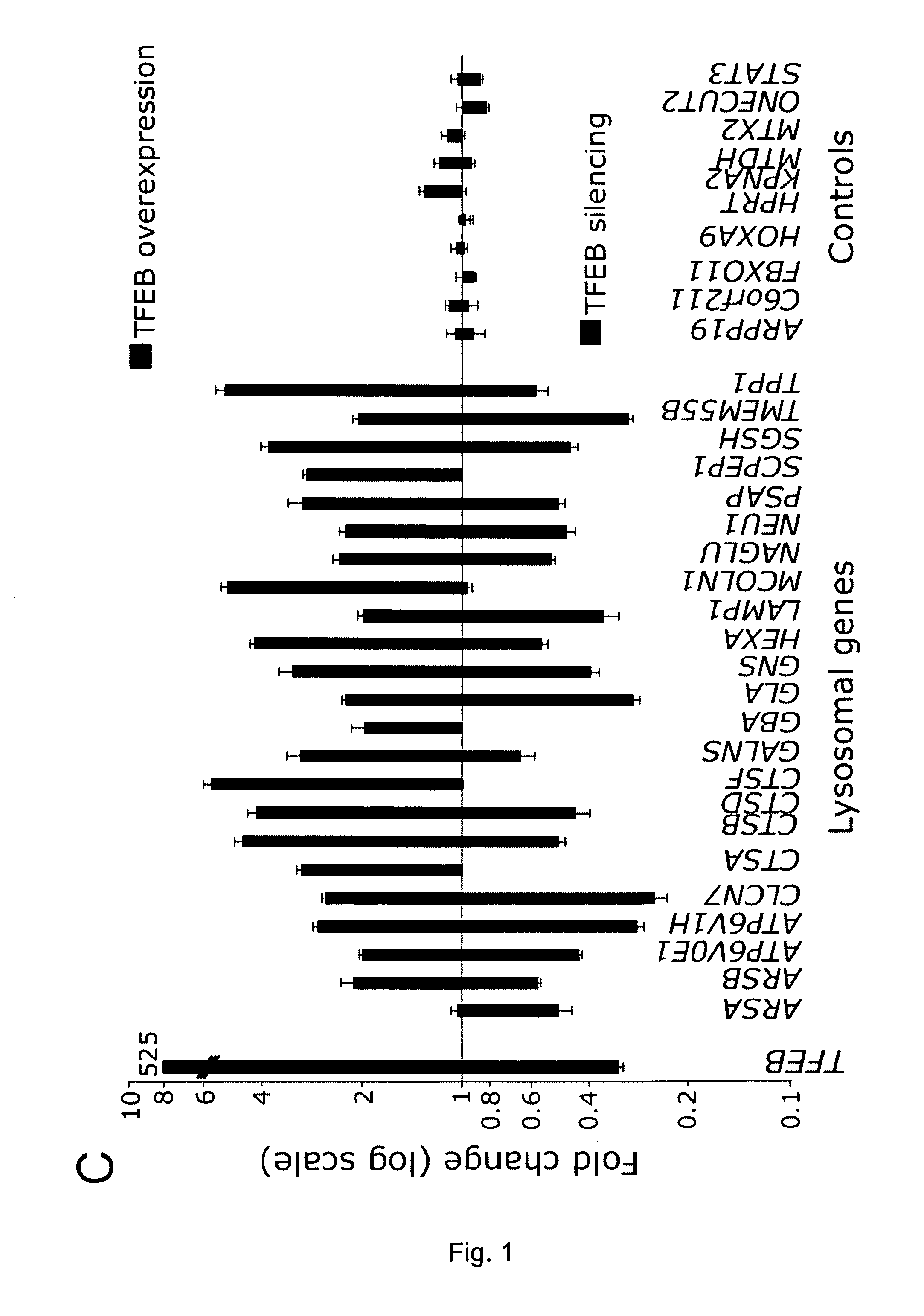 Molecules able to modulate the expression of at least a gene involved in degradative pathways and uses thereof