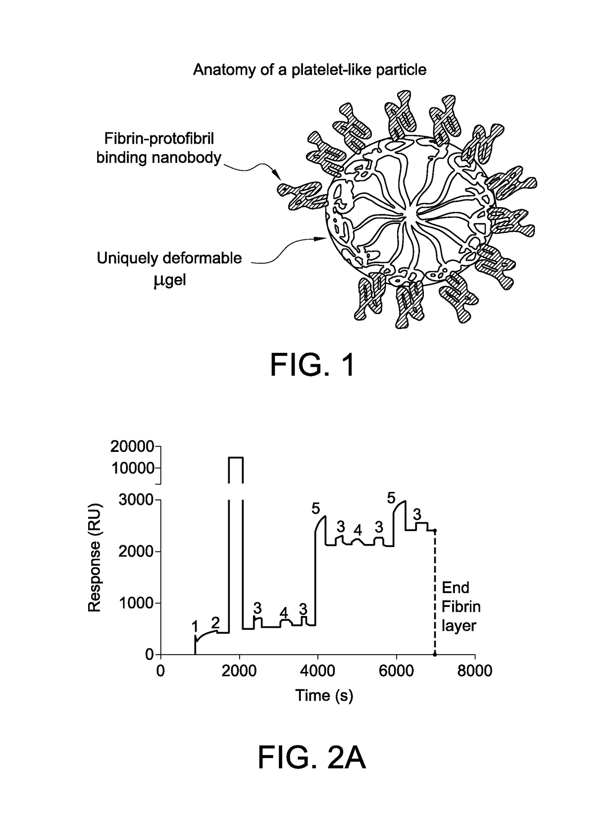 Functionalized microgels with fibrin binding elements