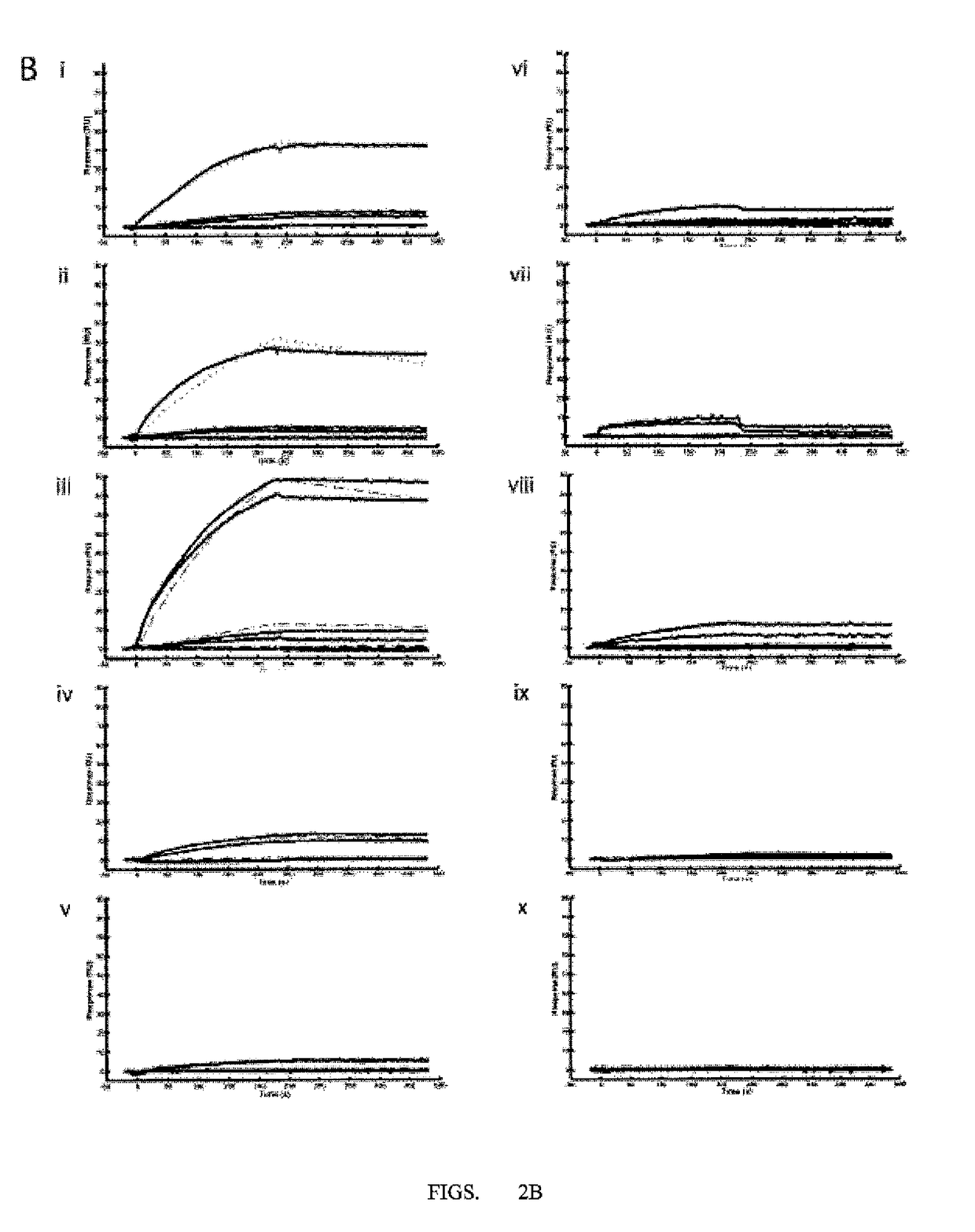 Functionalized microgels with fibrin binding elements