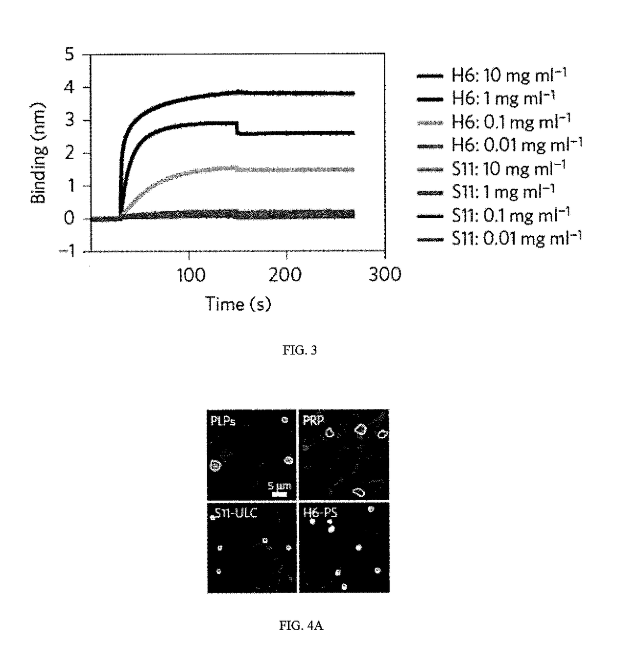 Functionalized microgels with fibrin binding elements