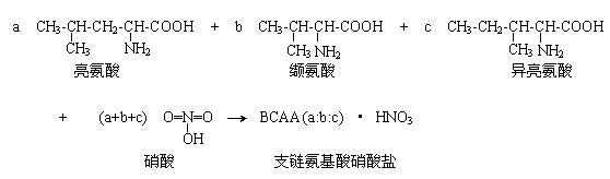 Method for synthesizing branched chain amino acid nitrate