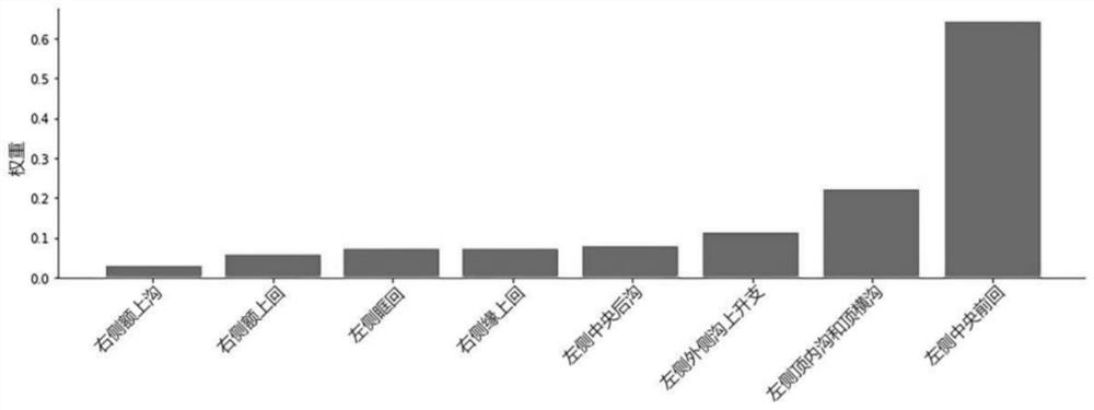 Brain age assessment method for Rolandic epilepsy children based on machine learning