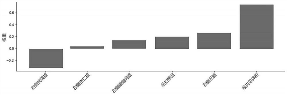 Brain age assessment method for Rolandic epilepsy children based on machine learning