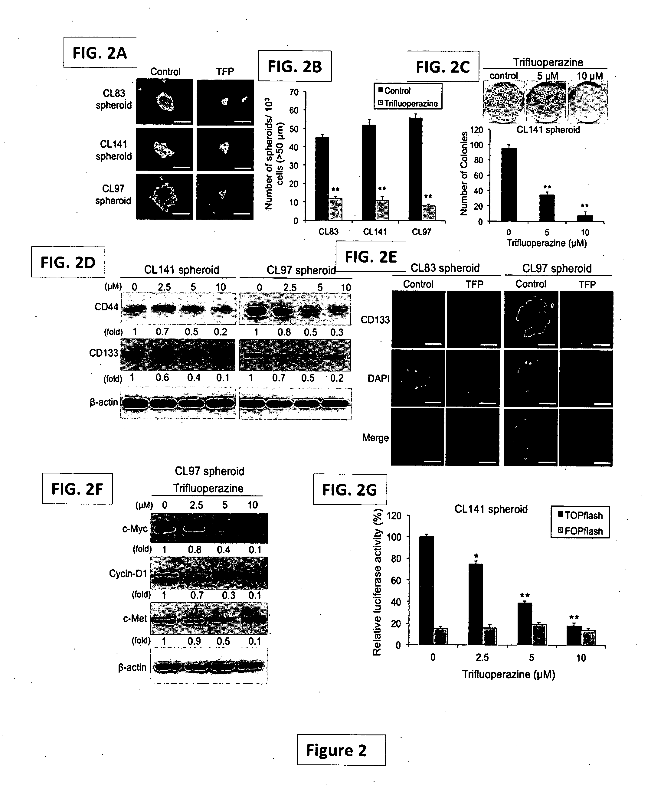 Pharmaceutical composition for treatment of cancer using phenothiazine