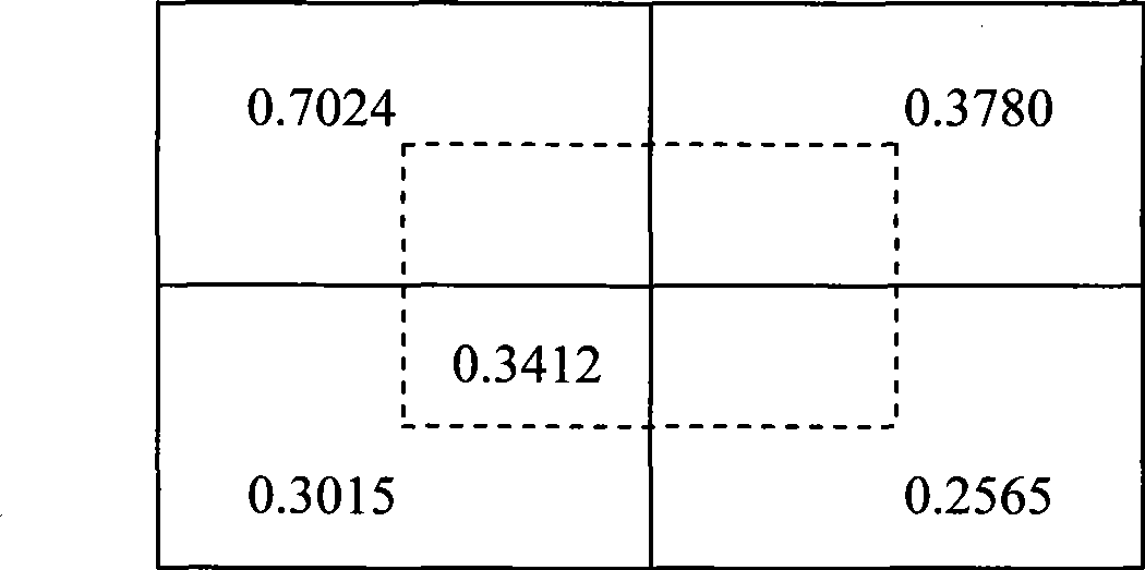 Estimation method for video image illumination distribution