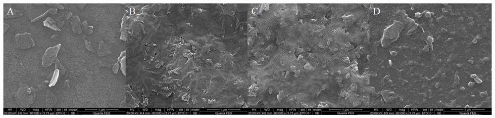 Titanium dioxide/titanium dioxide/black phosphorus nanosheet composite photocatalyst and preparation method and application thereof