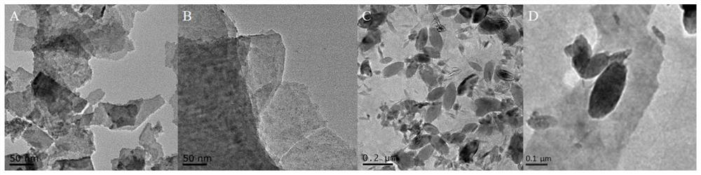 Titanium dioxide/titanium dioxide/black phosphorus nanosheet composite photocatalyst and preparation method and application thereof