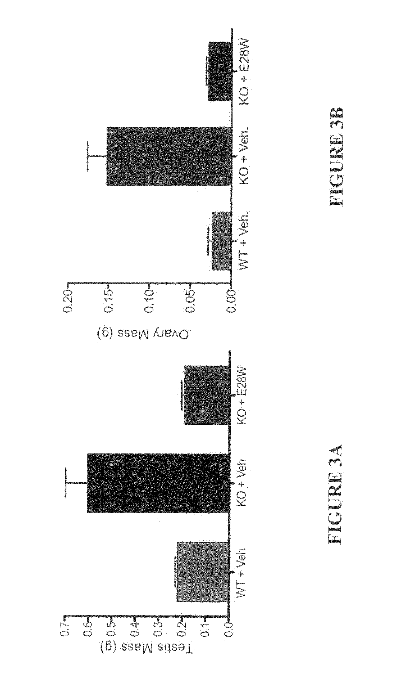 Variant activin receptor polypeptides and uses thereof
