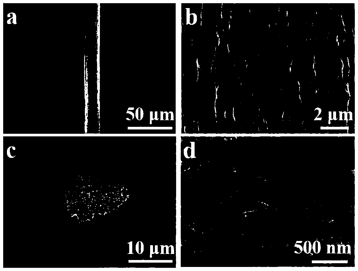 Preparation method of bionic high-strength high-flexibility nano composite fiber