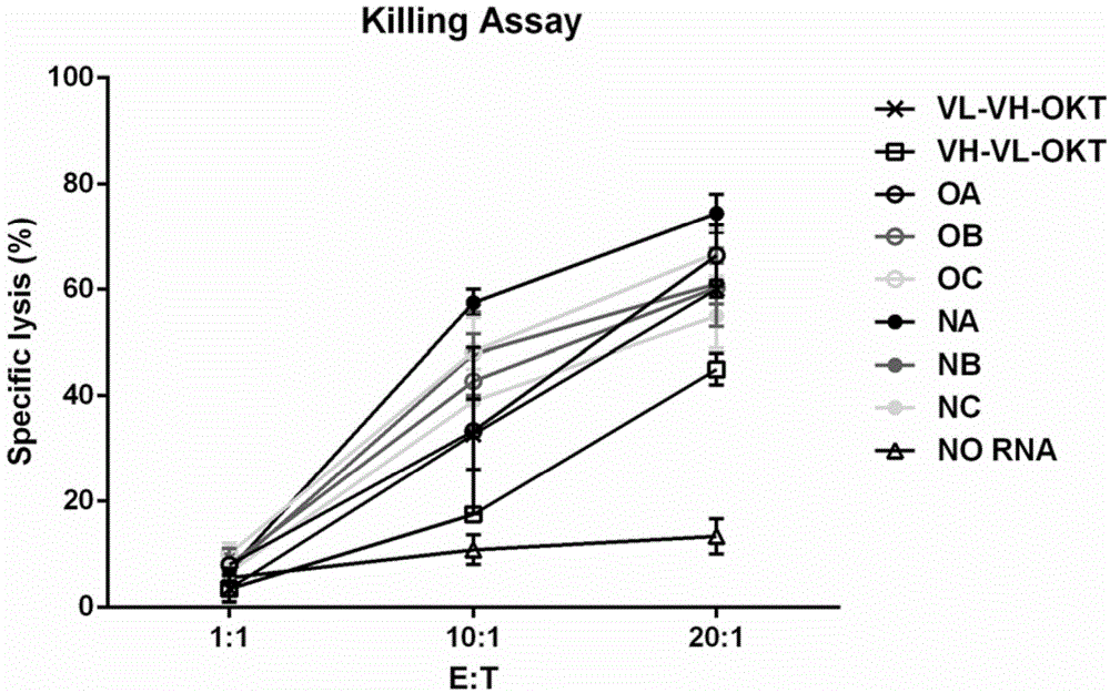 Preparation method of human T cell carrying anti-Her2/CD3 bispecific function protein